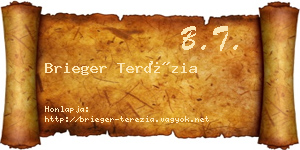 Brieger Terézia névjegykártya