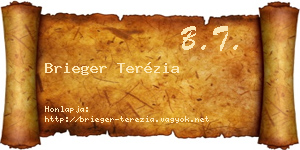 Brieger Terézia névjegykártya